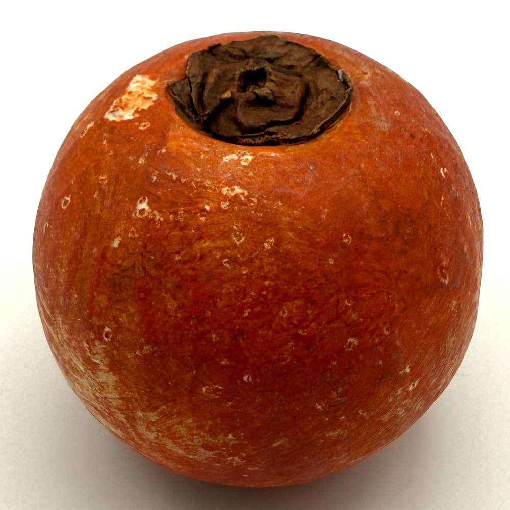 Alabaster Stone Fruit Persimmon Realistic Stem Leaves Hand Carved Marbled Orange